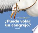 ¿puede Volar Un Cangrejo?