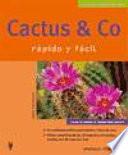 Cactus & Co