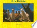 libro B De Bolivia