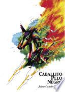 Caballito Pelo Negro