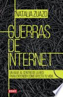 Guerras De Internet