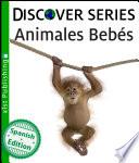 libro Animales Bebés