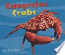 Cangrejos/crabs