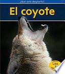 El Coyote