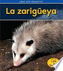 La Zarigüeya