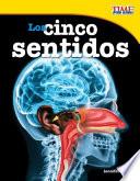 Los Cinco Sentidos (the Five Senses)