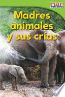 Madres Animales Y Sus Crías (animal Mothers And Babies)