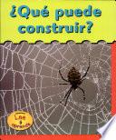 libro Qué Puede Construir?