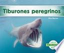 Tiburones Peregrinos