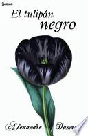 El Tulipán Negro