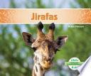 Jirafas (giraffes)