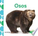 Osos (bears)