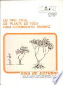 libro Um Tipo Ideal De Planta De Yuca Para Rendimiento Maximo