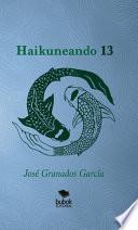 Haikuneando 13