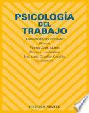 libro Psicología Del Trabajo