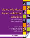 libro Violencia Doméstica, Divorcio Y Adaptación Psicológica