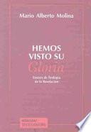 libro Hemos Visto Su Gloria